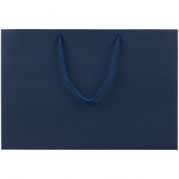 Пакет бумажный Ample Plus M, синий