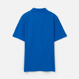 Рубашка поло унисекс Tervise, ярко-синяя