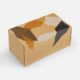 Тапочки Santos