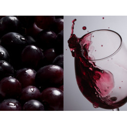 Бокал для вина «Энотека»