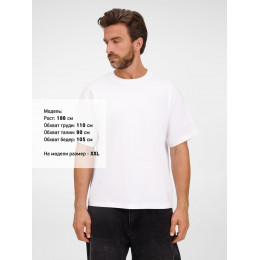 Футболка оверсайз унисекс Legacy, светло-бежевая (неокрашенная)