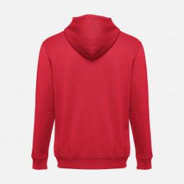 Толстовка мужская на молнии с капюшоном Amsterdam, красная