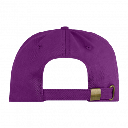 Бейсболка STAN 5 клиньев хлопок 260, 12